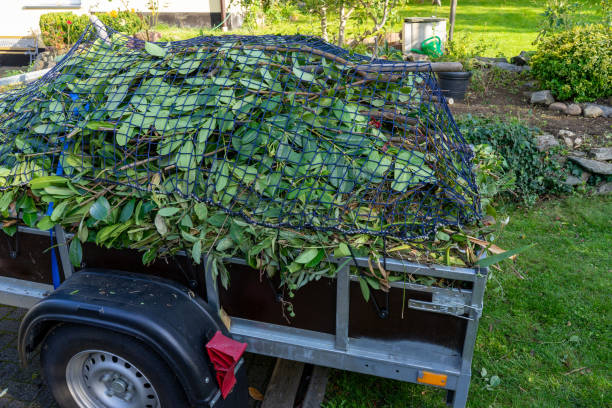 Best Shed Removal  in Frankfort Square, IL